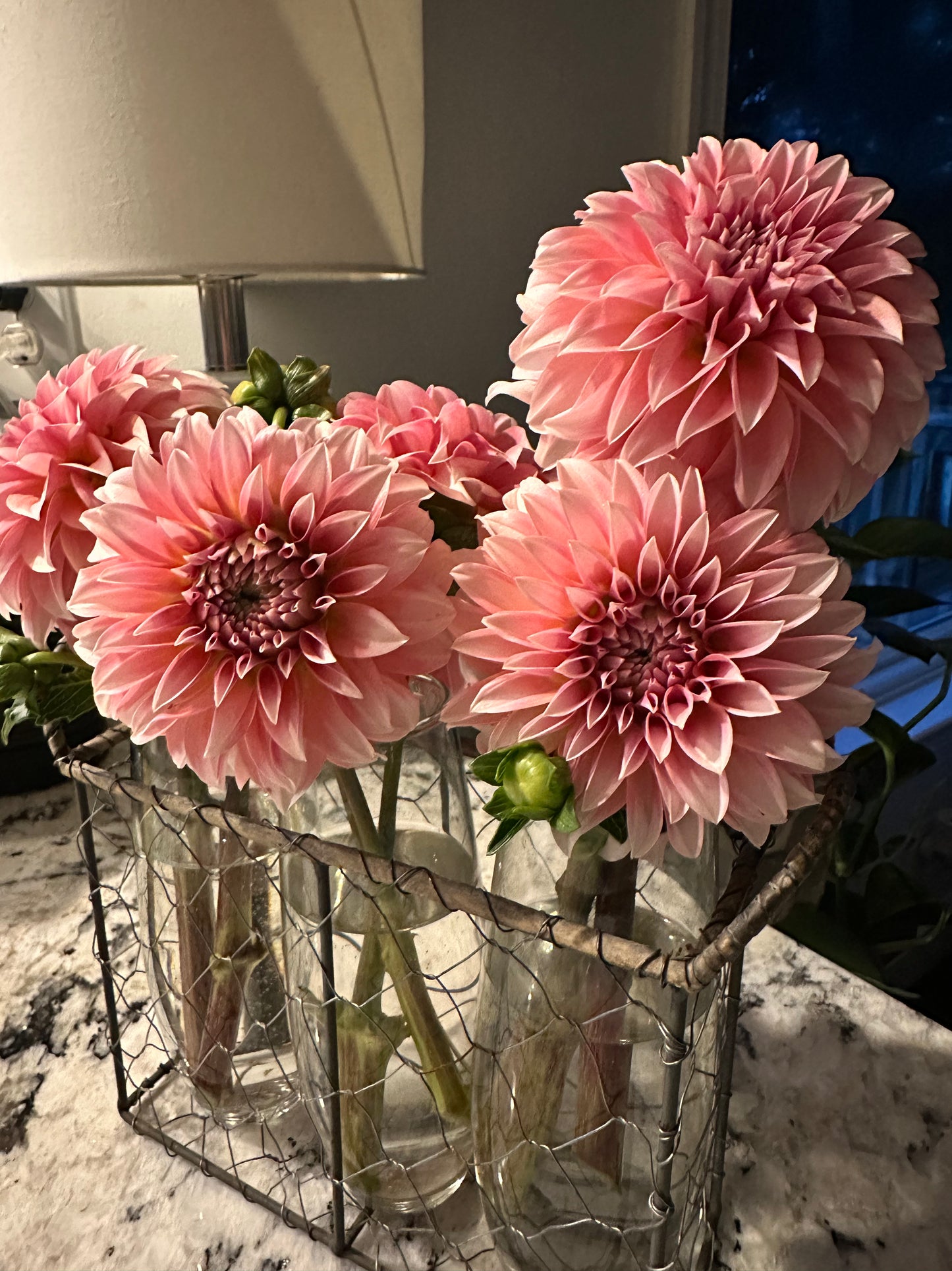 Dahlia vase arrangement
