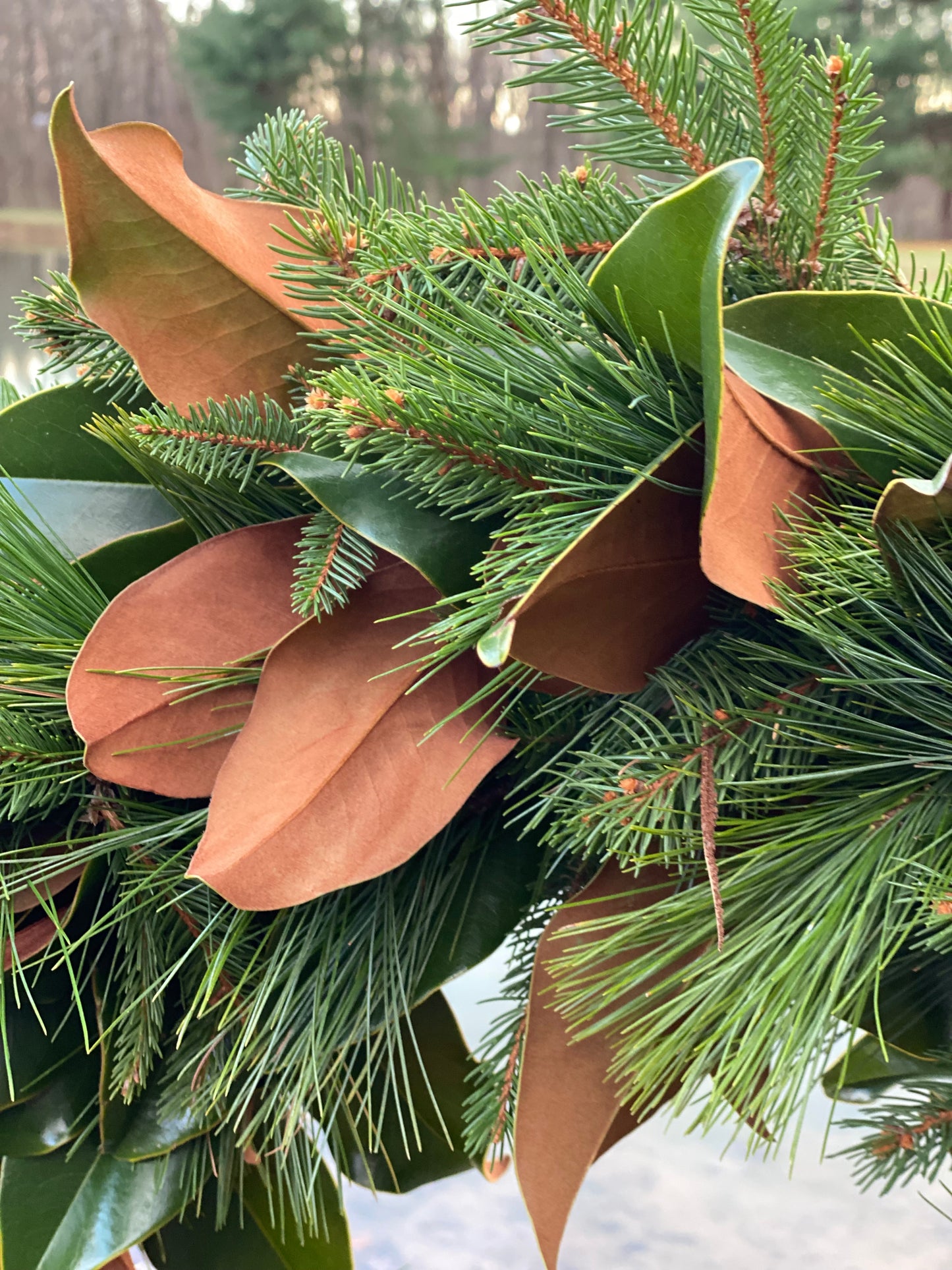 Magnolia Holiday Wreath