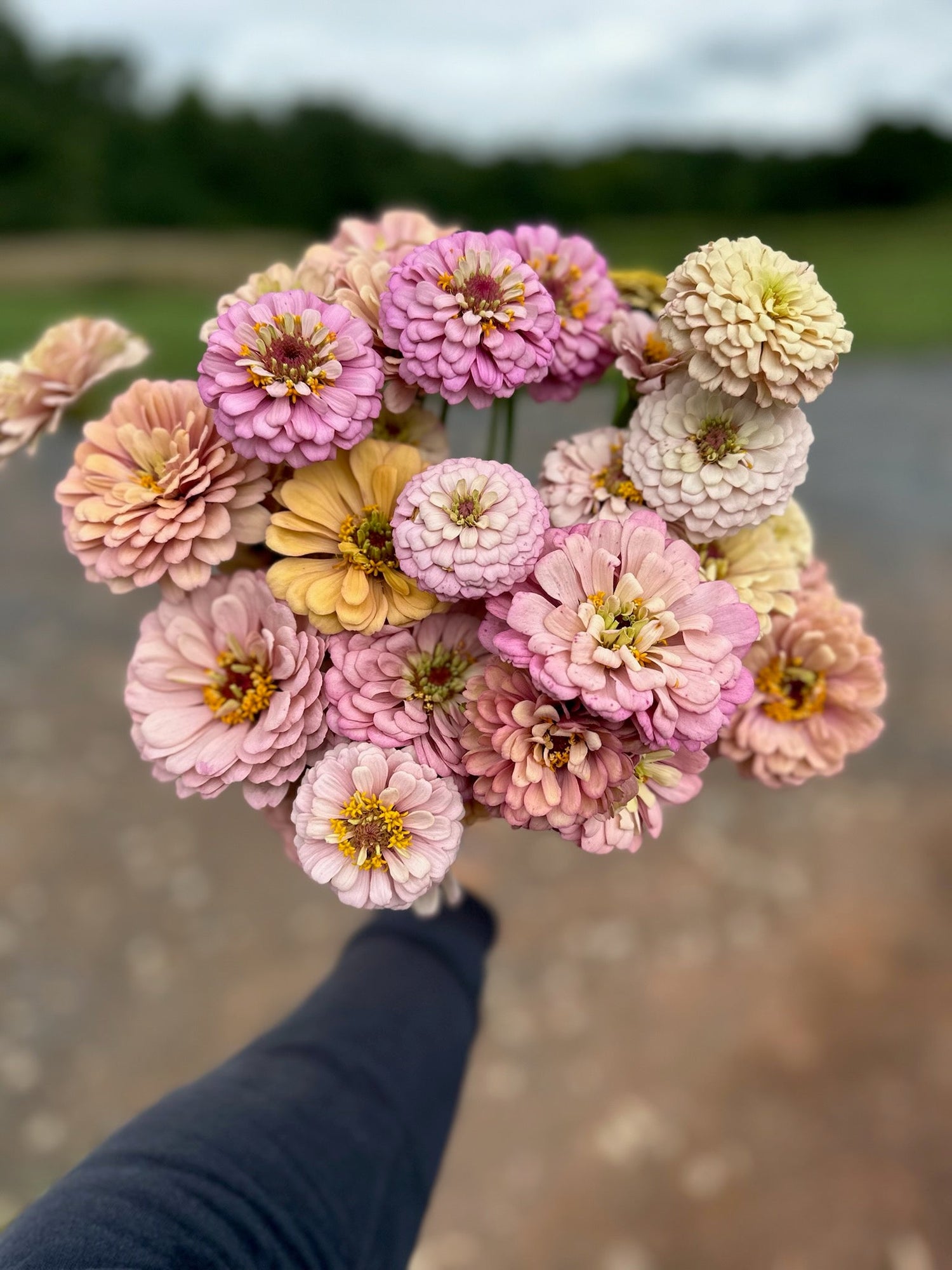 Accent Flower