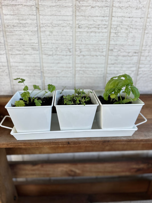 Herb Pots