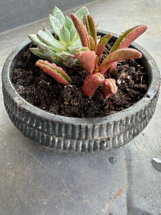 Medium black cement succulent pot