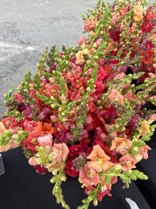 Farmers Market Bouquet