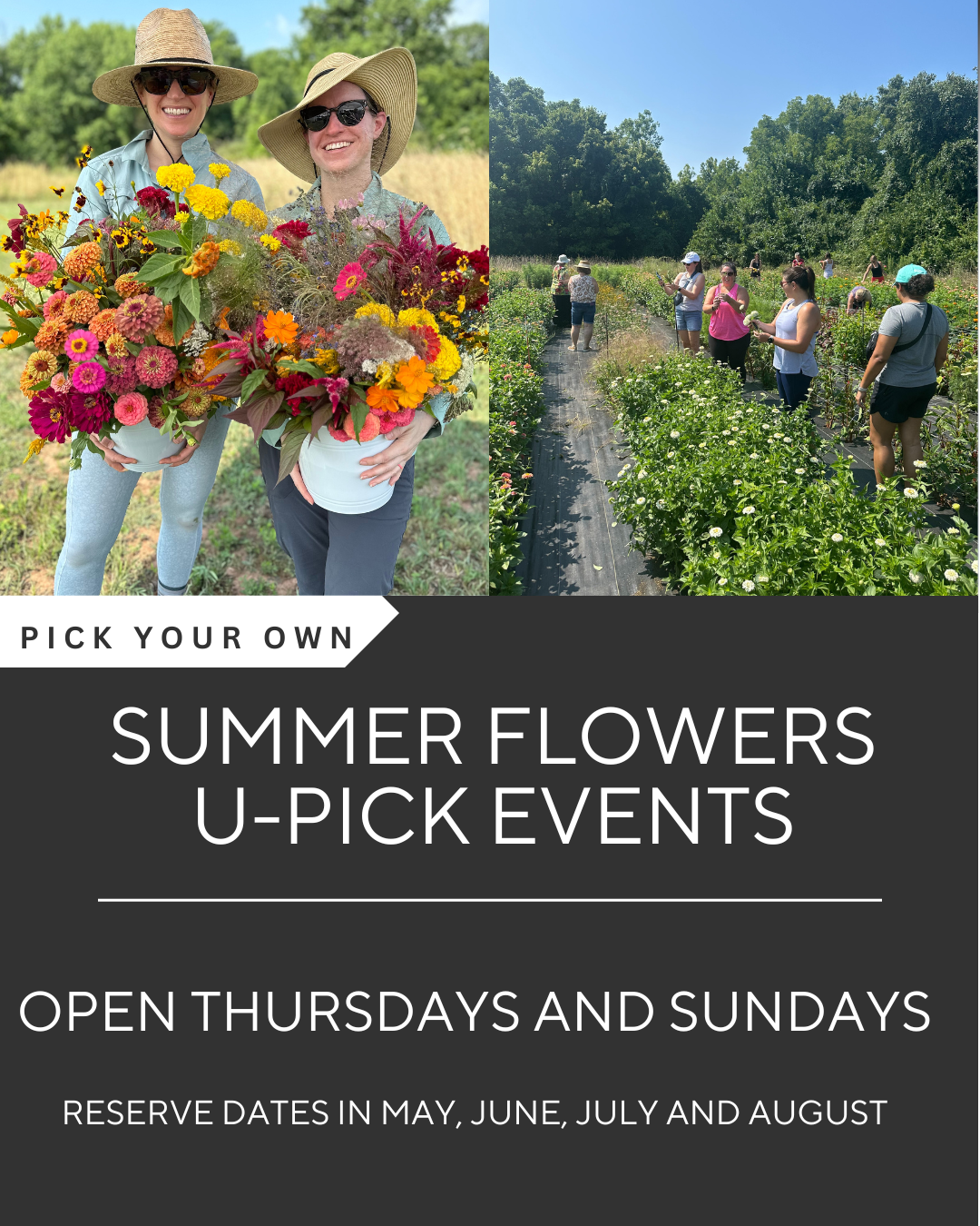 Summer Flowers U-PICK Event